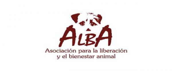 Hvor kan jeg adoptere en hund i Madrid - ALBA Association for Animal Liberation and Welfare
