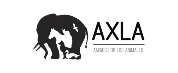 Hvor kan jeg adoptere en hund i Madrid - AXLA.  Venner for dyr