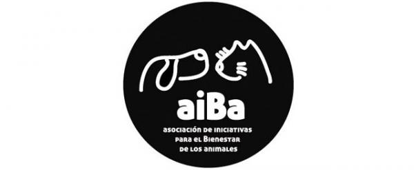 Hvor kan jeg adoptere en hund i Madrid - aiBa Association of Initiatives for Animal Welfare