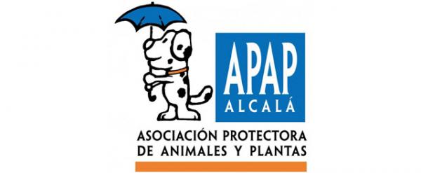 Hvor kan jeg adoptere en hund i Madrid - APAP -Alcalá 