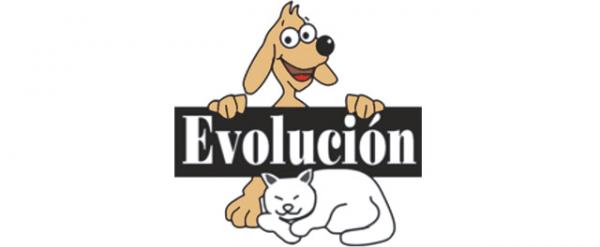Hvor kan jeg adoptere en hund i Madrid - Evolution 