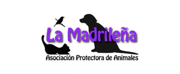 Hvor kan jeg adoptere en hund i Madrid - La Madrileña