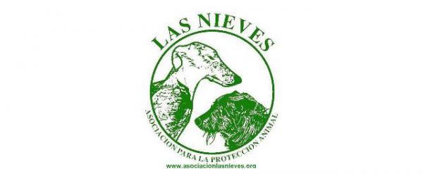 Hvor kan jeg adoptere en hund i Madrid - Las Nieves Association