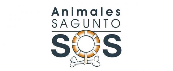 Hvor kan jeg adoptere en hund i Valencia - Animals Sagunto SOS.