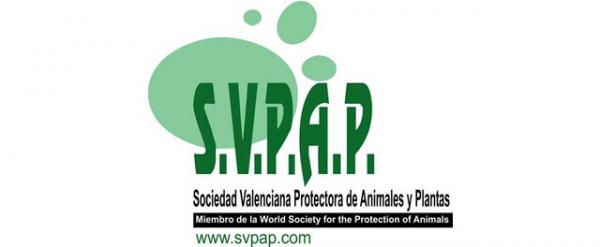 Hvor kan jeg adoptere en hund i Valencia - SVPAP Valencian Society for the Protection of Animals and Plants 