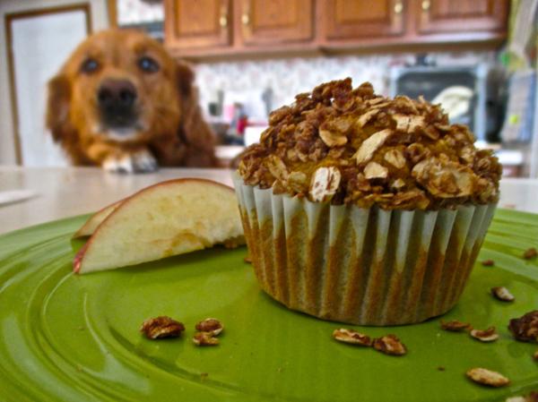 4 Dog Cupcake Oppskrifter - Apple Havregryn Dog Cupcakes