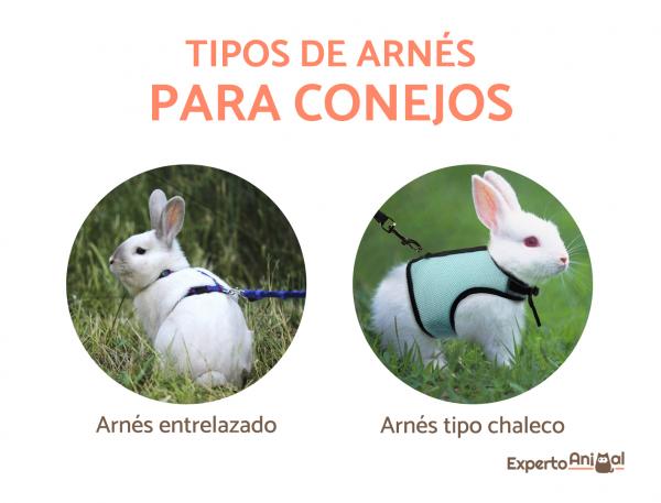 Seletøy for kaniner - Typer og egenskaper - Typer seler for kaniner