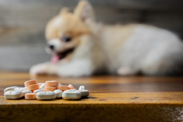Adolonta for hunder dosering og bivirkninger