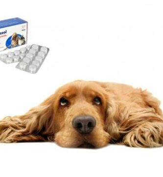 Albendazol for hunder Dosering bruk og kontraindikasjoner