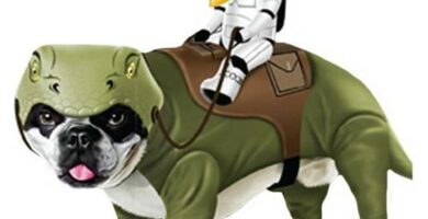 De beste Star Wars kostymer for hunder