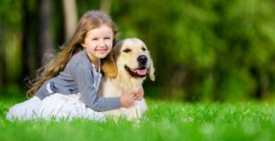 De beste hunderaser for autistiske barn