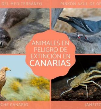 Dyr i fare for utryddelse pa Kanarioyene