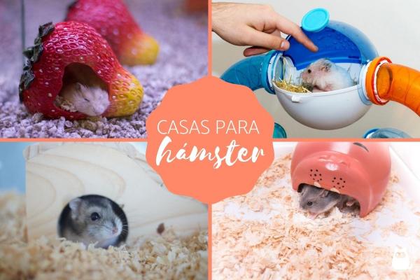 Hamsterhus Typer og anbefalinger