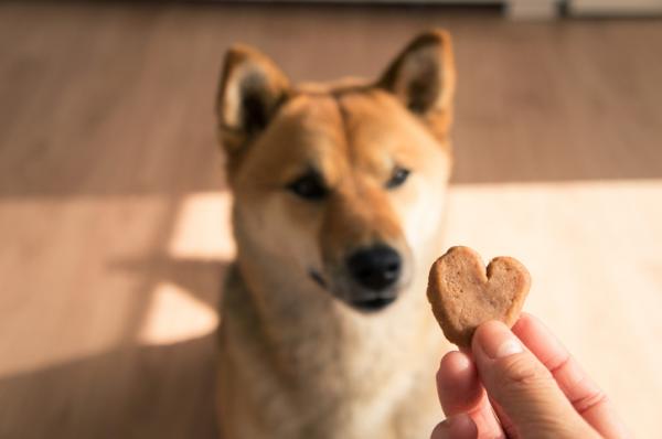 Hjemmelagde hundekjeks 5 enkle oppskrifter