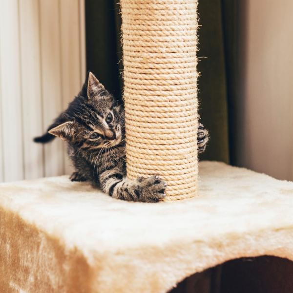 Hjemmelaget skrapestolpe for katter