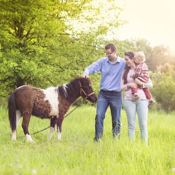 Hva du ma huske pa for du adopterer en ponni