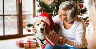 Hva kan jeg gi hunden min til jul