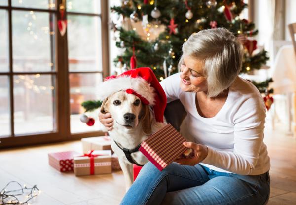 Hva kan jeg gi hunden min til jul