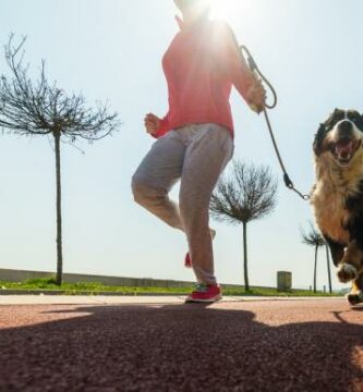 Hvordan laere hunden min a lope med meg