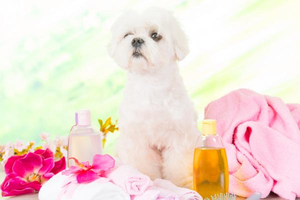 Hvordan lage hjemmelaget balsam for hunder