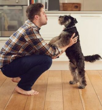 Hvordan snakke med hunden min