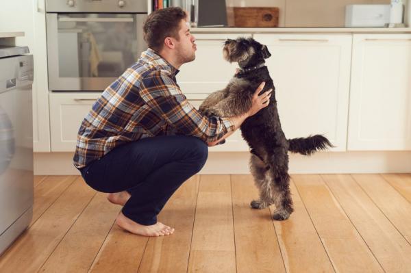 Hvordan snakke med hunden min