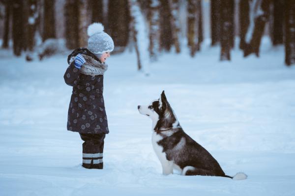 Hvordan ta vare pa en hund om vinteren