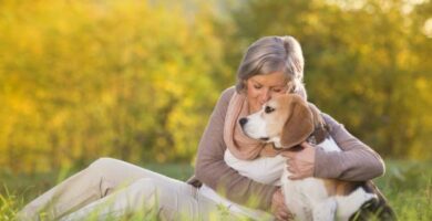 Hvorfor adoptere en eldre hund