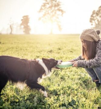 Hvorfor biter hunden min meg mens han leker