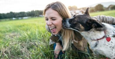 Hvorfor liker hunden min a slikke orene mine