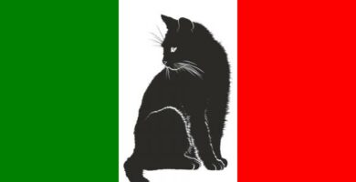 Italienske navn for hann og hunnkatter