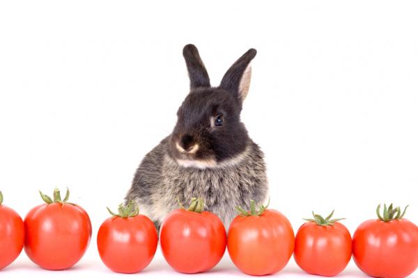 Kan kaniner spise tomat