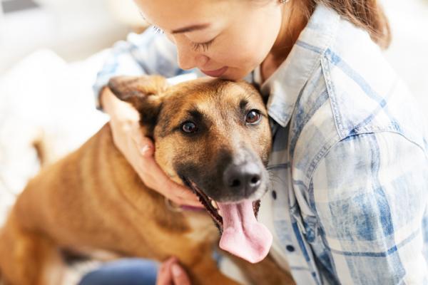Triks for a forhindre at hunden min lukter vondt