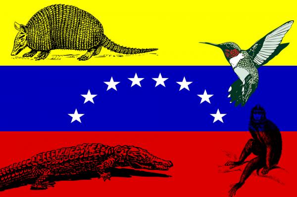 10 dyr i fare for utryddelse i Venezuela