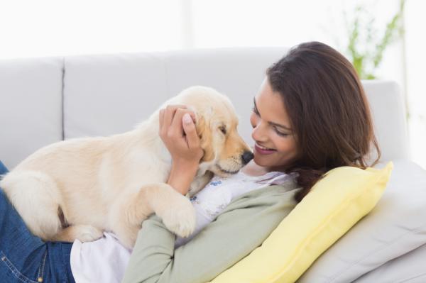 Hvordan vet du om hunden din elsker deg?  - 1. Tar imot deg med entusiasme