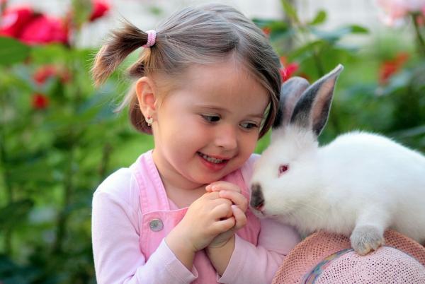 Fordeler og ulemper ved å ha en kanin som kjæledyr - Faktorer for: veldig hyggelig og føyelig