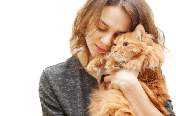 5 ting du bør vite før du adopterer en katt - 5. En katt vil forandre livet ditt