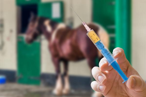Equin rhinpneumonitt - Symptomer og behandling - Forebyggende tiltak for rhinpneumonitt hos hester
