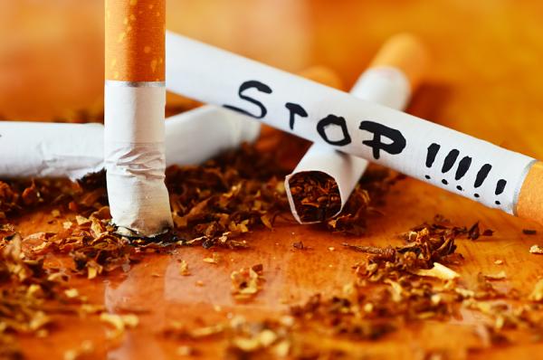 Hvordan påvirker tobakkrøyk dyr?  - Hvordan forhindre tobakk i å påvirke dyr
