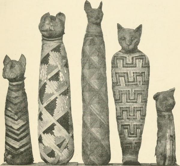Egyptiske navn for katter - Egyptiske navn for hannkatter