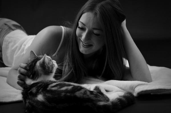 Hvordan ta vare på en katt med hoftebrudd - Omsorg for en katt med hoftebrudd