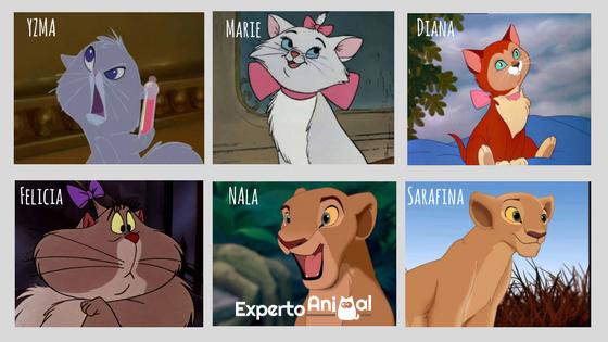 Disney karakternavn for katter - Disney Kitten Names