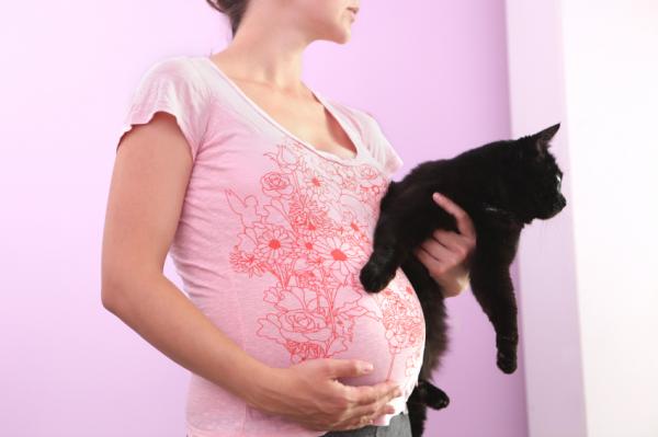 10 falske myter om katter som du bør slutte å tro - 5. Gravide skal ikke ha katter: MYTE