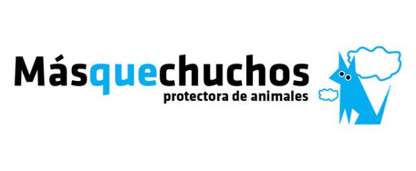 Hvor kan jeg adoptere en hund i Asturias - MásqueChuchos