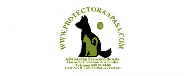Hvor kan jeg adoptere en hund i Asturias - APASA.  San Francisco de Asís Animal Protection Association 