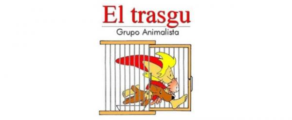 Hvor kan jeg adoptere en hund i Asturias - El Trasgu Asociación Protectora de Animales