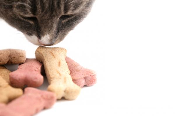 Tips for å gi en katt en pille - Skjul pillen i maten
