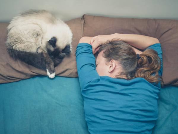 10 tegn på at katten din elsker deg - hvis katten din sover hos deg