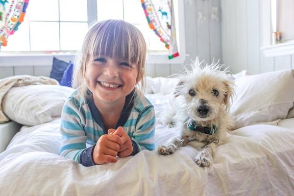 10 grunner til å adoptere en mongrel hund - 1. Du vil ha en unik hund