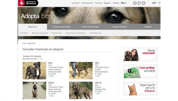 Adopter kjæledyr online - Hvordan velge riktig kjæledyr